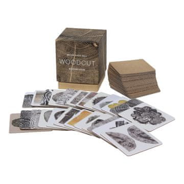 Chronicle Books Pexeso Lesorez