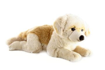 Plush Retriever velik