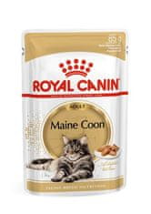 Royal Canin ROYAL CANIN FBN Maine Coon - mokra hrana za mačke, 12 x 85g - zaščita pred srčnimi obolenji in zdravje kože