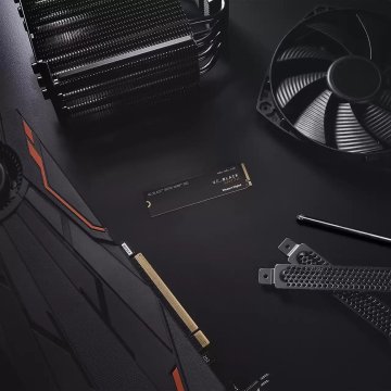WD Western Digital Black SN770 250 GB M.2 PCIe 4.0 NVMe SSD – Visoka hitrost za PC in prenosne računalnike