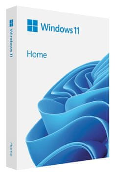 MS Windows Home 11 FFP 11 64-bit BOX USB PL