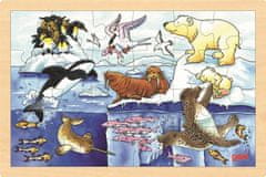 Goki Lesena sestavljanka Arktične živali 24 kosov