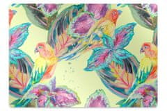 Decormat Podloga za pisalni stol Colorful parrots 120x90 cm 