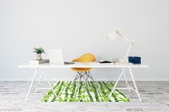 Decormat Podloga za pisarniški stol Bamboo 120x90 cm 15 cm 