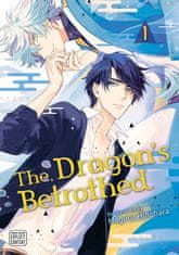 Dragon's Betrothed, Vol. 1