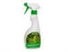 zelene rastline in palme 500ml
