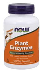 NOW Foods Plant Enzymes, 120 rastlinskih kapsul