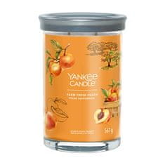 Yankee Candle Aromatična sveča Signature tumbler velika Farm Fresh Peach 567 g