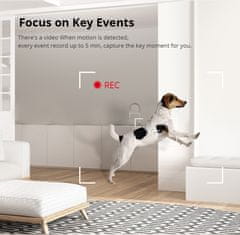 Sonoff S-CAM WiFi notranja kamera z USB napajalnim adapterjem 2A