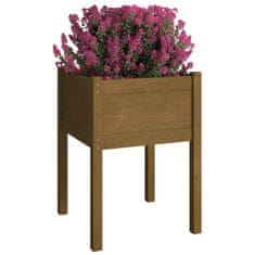 Vidaxl Vrtno cvetlično korito medeno rjavo 50x50x70 cm trdna borovina
