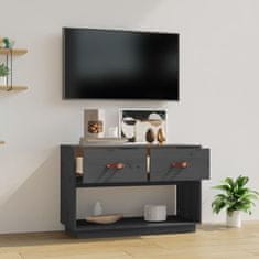 Vidaxl TV omarica siva 90x40x60 cm trdna borovina