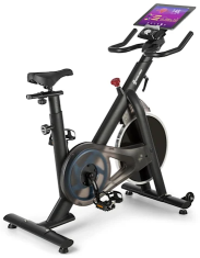Capital Sports Evo Race Cardiobike sobno kolo, sivo