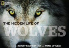 Hidden Life of Wolves