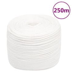 Vidaxl Vrv za čoln popolnoma bela 6 mm 250 m polipropilen