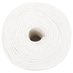 Vidaxl Vrv za čoln popolnoma bela 6 mm 250 m polipropilen