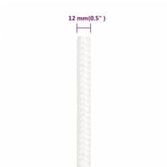 Vidaxl Vrv za čoln popolnoma bela 12 mm 250 m polipropilen