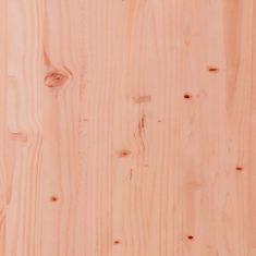 Vidaxl Klop z visoko gredo 184,5x39,5x56,5 cm trden les douglas