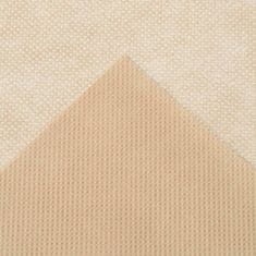 Vidaxl Zimska koprena z zadrgo 70 g/m² bež 2x2,5 m