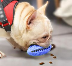Mersjo Zobna ščetka pasja igrača za žvečenje
