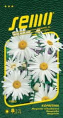 Semo Daisy bela - Shasta Daisy 0,8g