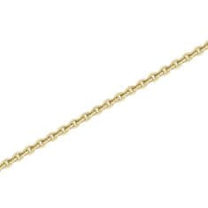 Brilio Zlata verižica Anker CN0130 (Dolžina 40 cm)