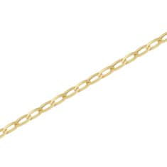 Brilio Brezčasna zlata verižica Anker CN4703Y (Dolžina 40 cm)