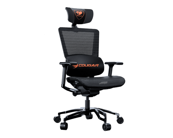 Cougar 2025 argo black