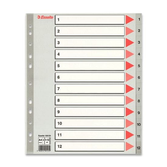 Esselte Maxi 1 - 12, 12 listov