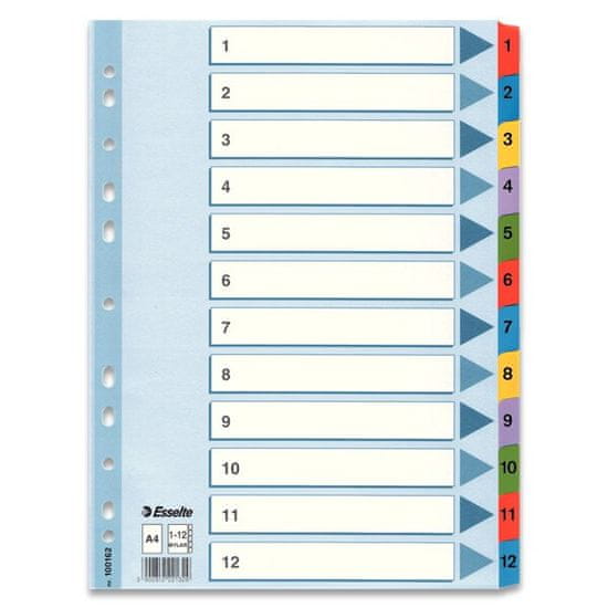 Esselte Mylar 1 - 12, 12 listov