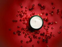Weleda Učvrstitvena dnevna krema s peptidi granatnega jabolka in mace ( Firming Day Cream) 40 ml