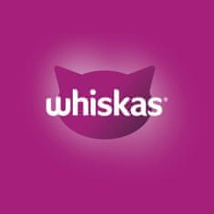 Whiskas mačja hrana v želeju Casserole, 48 kosov