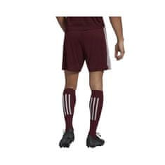 Adidas Hlače obutev za trening bordo rdeča 182 - 187 cm/XL Squadra 21