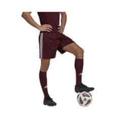 Adidas Hlače obutev za trening bordo rdeča 182 - 187 cm/XL Squadra 21