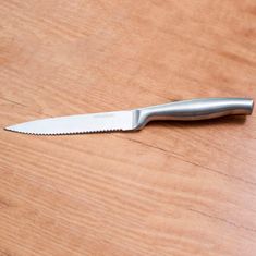 Northix 6x profesionalni noži za meso 