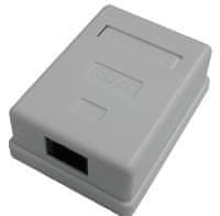 DATACOM Podatkovna vtičnica UTP CAT5E 2xRJ45 na ometu 45deg. bela