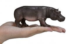 MOJO Hippo samica