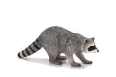 MOJO Raccoon