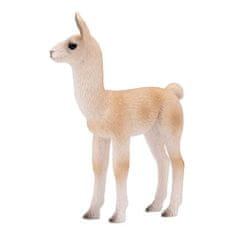 MOJO Mladiček Lama