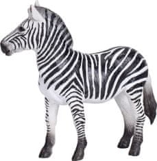 Mojo Zebra kobila