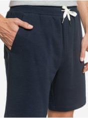 Quiksilver Moška Kratke hlače Modra XS