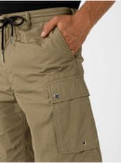 Diesel Moška P-Aimi-P Kratke hlače Rjava XS-S