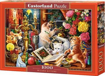 Castorland Puzzle Čarovniški mucki 1000 kosov