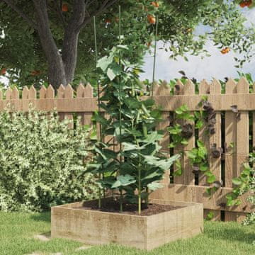 Vidaxl vidaXL Podpora za rastline s 4 obroči, 5 kosov, zelena, 90 cm, jeklo