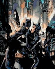 ZUTY Slikanje po številkah 40 x 50 cm Batman - Catwoman